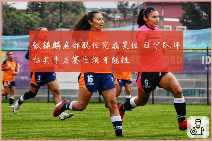 张镇麟肩部脱位完成复位 辽宁队评估其季后赛出场可能性