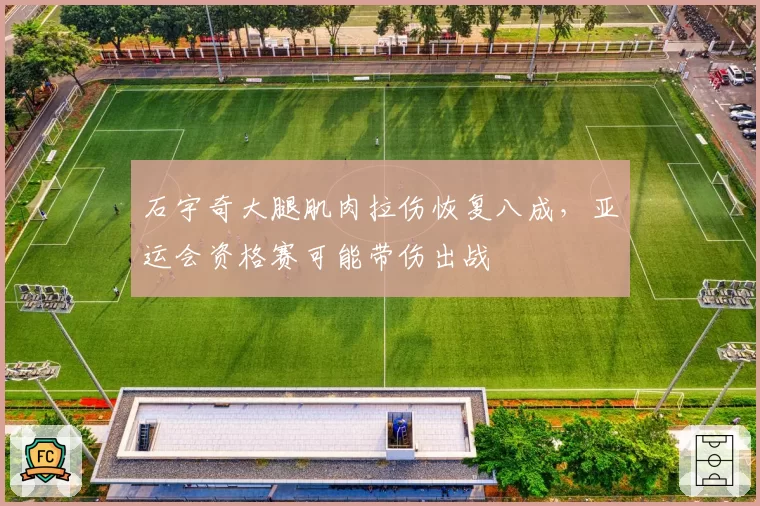 石宇奇大腿肌肉拉伤恢复八成，亚运会资格赛可能带伤出战