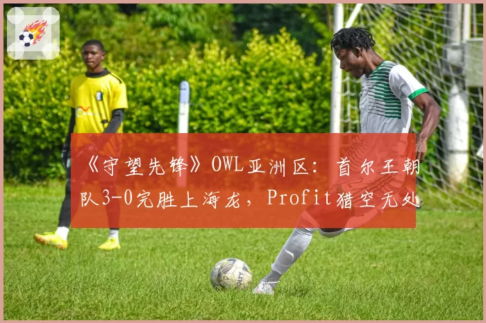 《守望先锋》OWL亚洲区:首尔王朝队3-0完胜上海龙,Profit猎空无处不在