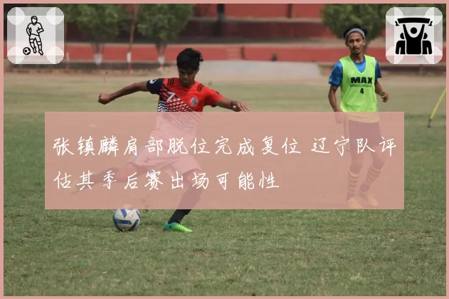 张镇麟肩部脱位完成复位 辽宁队评估其季后赛出场可能性