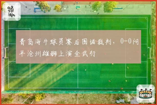 青岛海牛球员赛后围堵裁判，0-0闷平沧州雄狮上演全武行